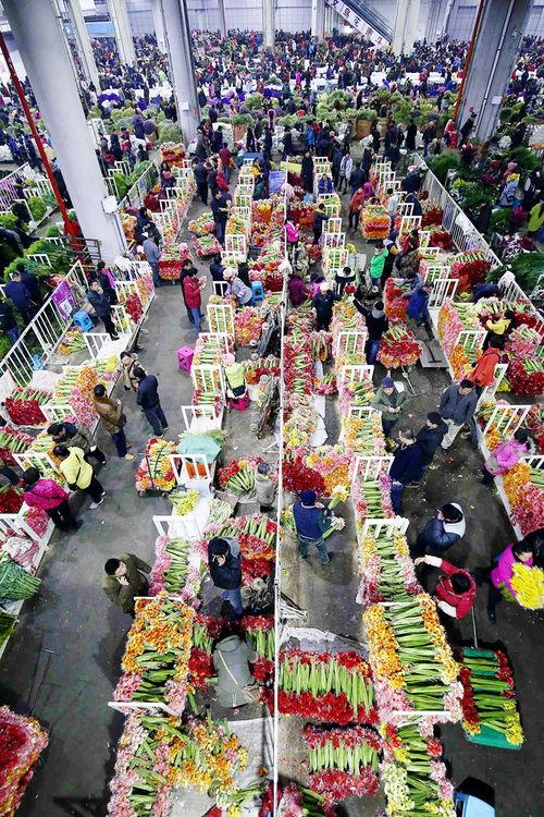 全球第一在线福利,揭秘第一在线福利的独到魅力