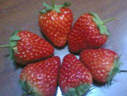 福利社在线观看草莓,福利社里的甜蜜诱惑